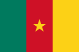 Flag of  Cameroon