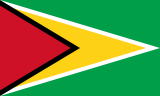 Flag of Guyana